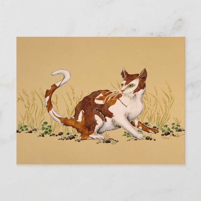 Calico Autum Postcard (Front)