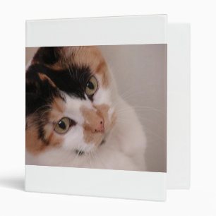 Calico Beauty Cat 3 Ring Binder