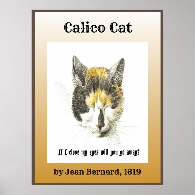 Calico Cat 1819 Poster (Front)