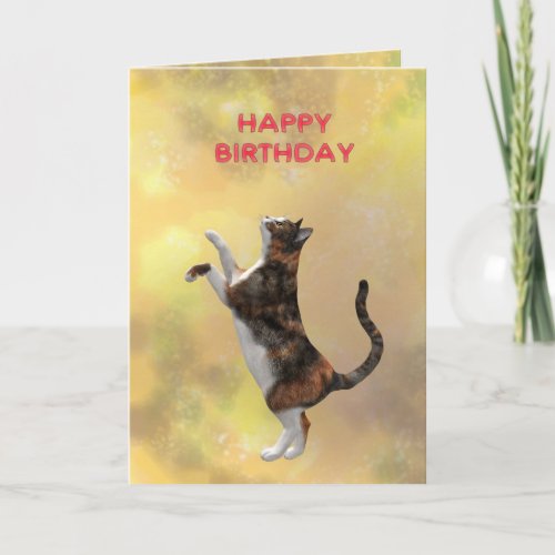 Calico cat and Happy Birthday Card