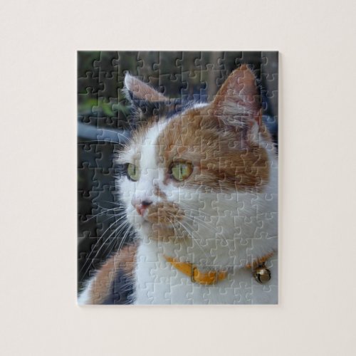 Calico cat animal lovers jigsaw puzzle