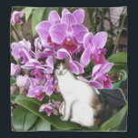 Calico Cat Bandana<br><div class="desc">A calico cat with orchids for a background decorates this beautiful bandana</div>
