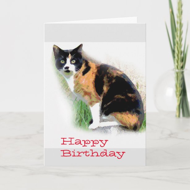 Calico Cat Birthday Gifts on Zazzle
