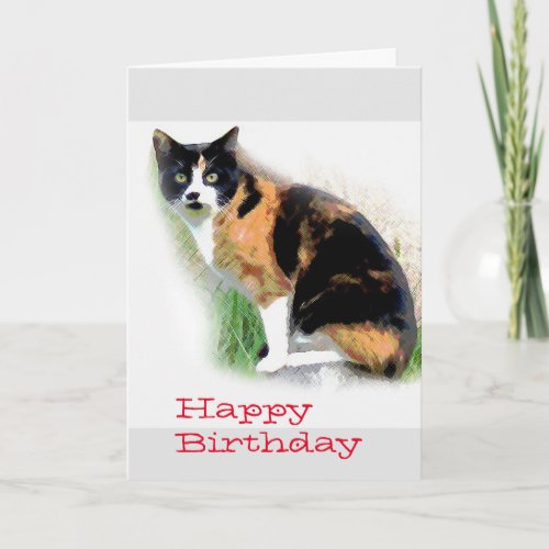Calico cat Birthday Card