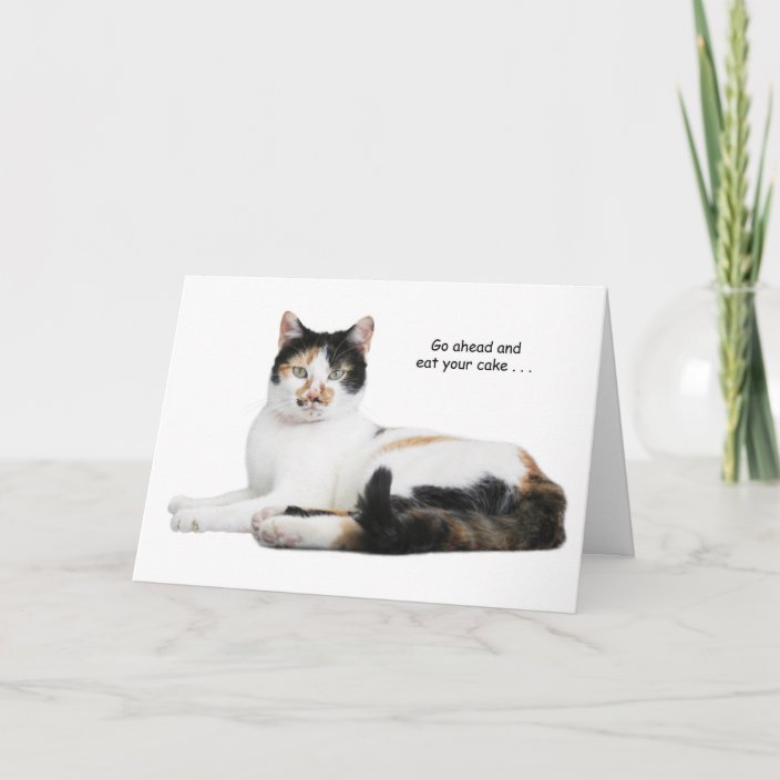 Calico Cat Birthday Card | Zazzle.com