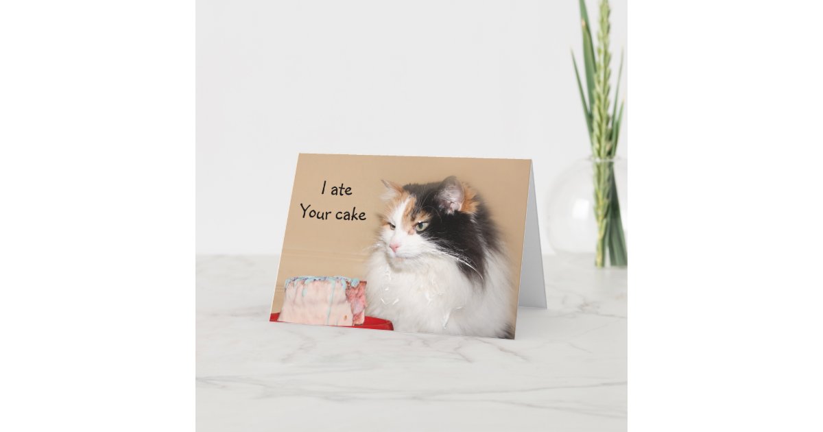 Calico cat birthday card | Zazzle.com