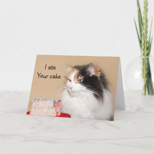 Calico cat birthday card