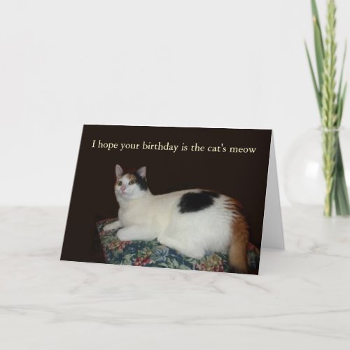 Calico Cat Birthday Card