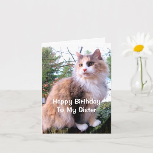Calico Cat Birthday Sister Card