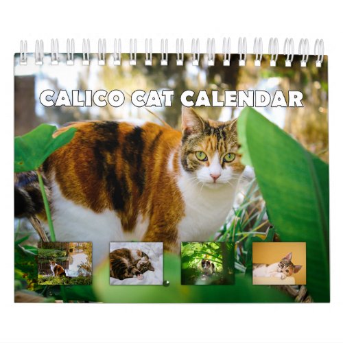 Calico Cat Calendar