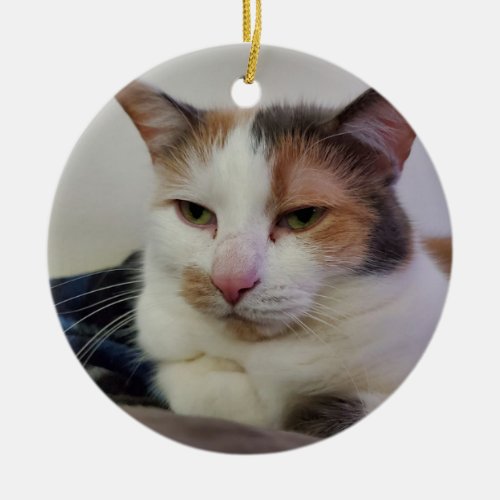 Calico cat ceramic ornament