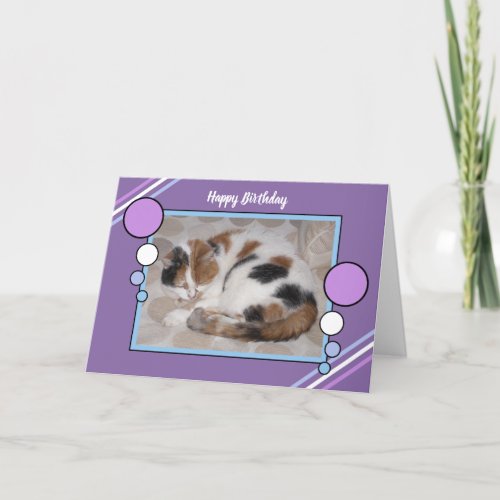 Calico cat curled up asleep photo purple blue card