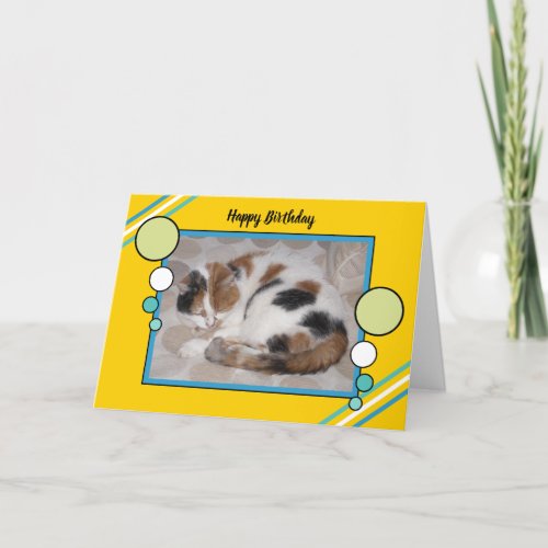 Calico cat curled up asleep photo yellow green card