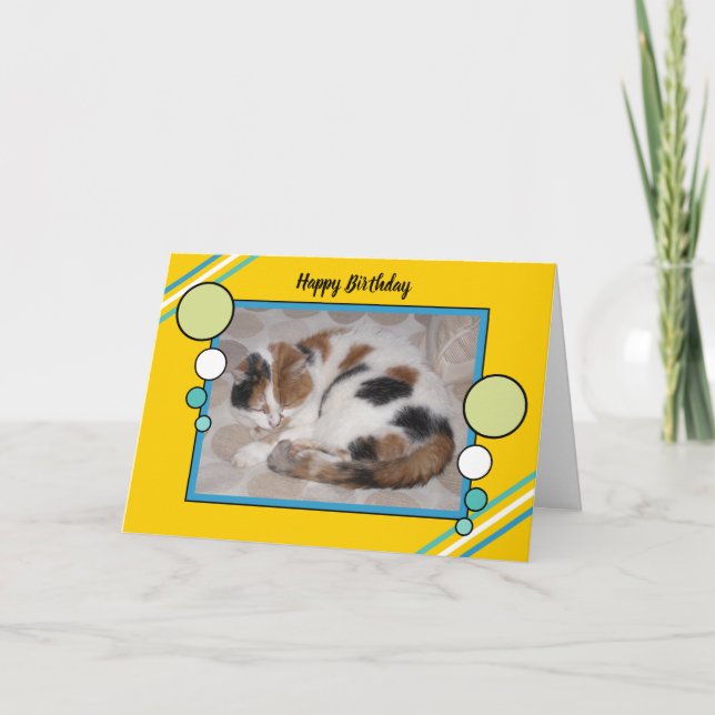 Calico cat curled up asleep photo yellow green card (Front)