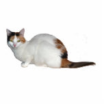 Calico Cat Cutout<br><div class="desc">A 3D keychain of a calico cat</div>