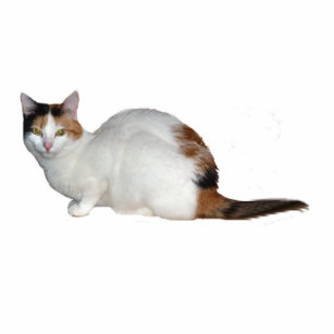 Calico Cat Cutout