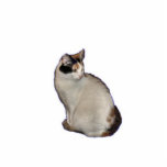 Calico Cat Cutout<br><div class="desc">An acrylic calico cat ornament</div>