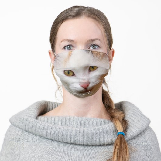 Calico Cat face mask cover (Worn)