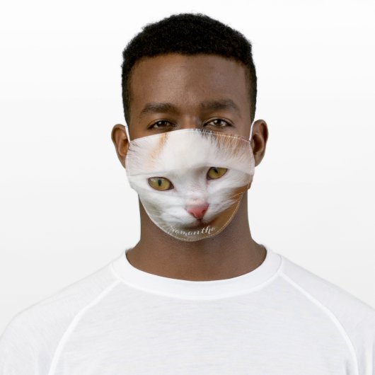 Calico Cat face mask cover (Worn)