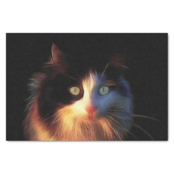Calico Cat Face Tissue Paper by deemac2 at Zazzle