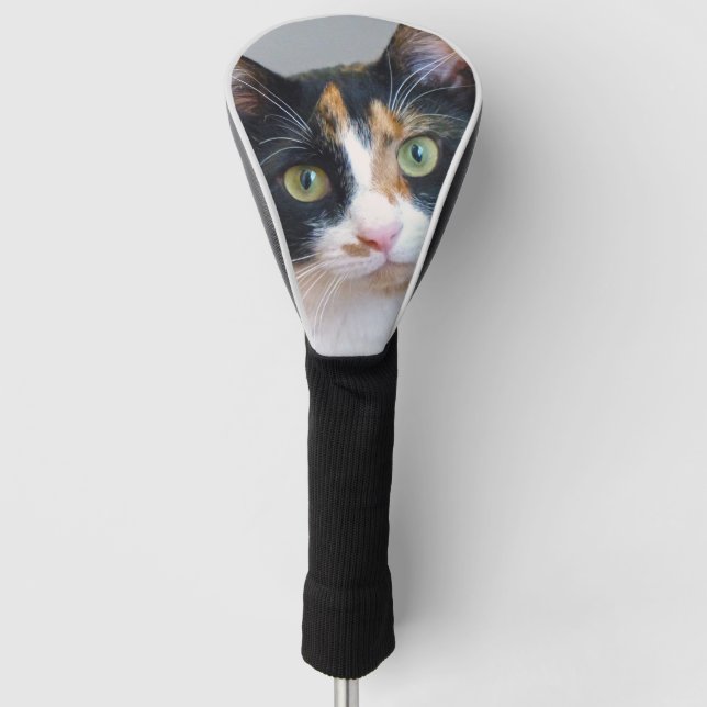Calico Cat Golf Head Cover (Front)