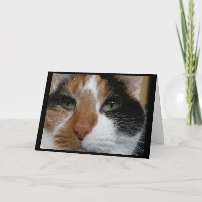 Calico cat Greeting Card (Front)