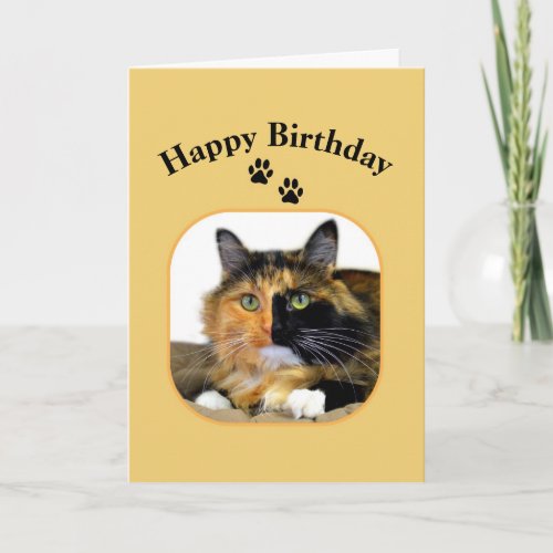 Calico Cat Happy Birthday Card