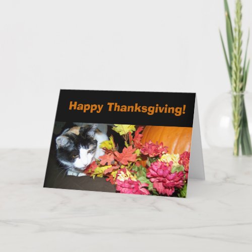 Calico Cat Happy Thanksgiving Card