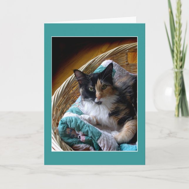 Calico cat in a basket greeting or note card (Front)