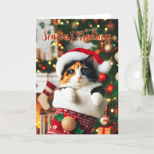 Calico Cat in a Christmas Stocking Card