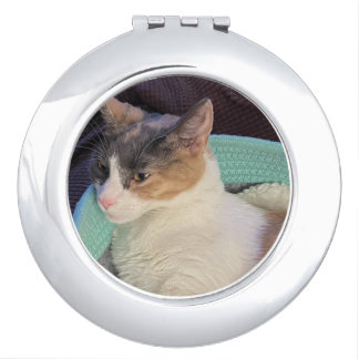Calico Cat in Cat Bed Compact Mirror