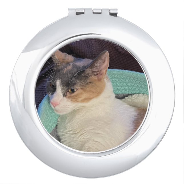 Calico Cat in Cat Bed Compact Mirror (Front)