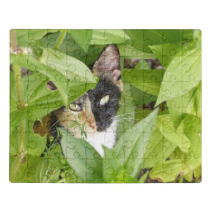 Calico Cat in the Zinnias  Jigsaw Puzzle