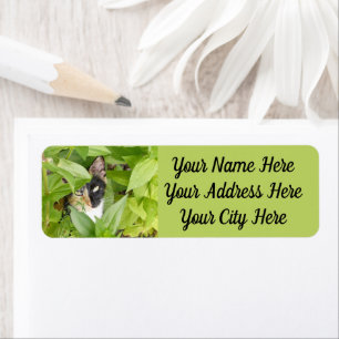 Calico Cat in the Zinnias Label