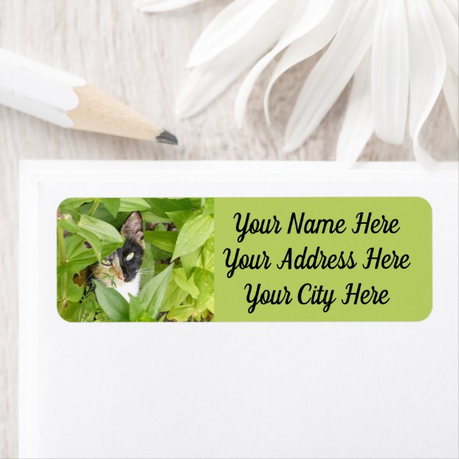 Calico Cat in the Zinnias Label (Insitu)