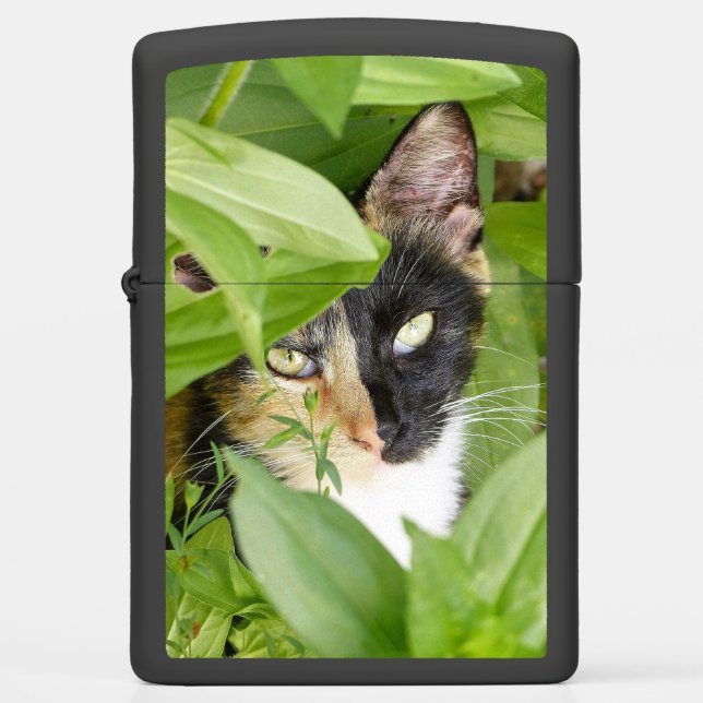 Calico Cat in the Zinnias Zippo Lighter (Front)