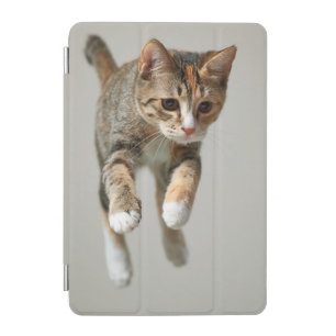 Calico Cat Jumping iPad Mini Cover