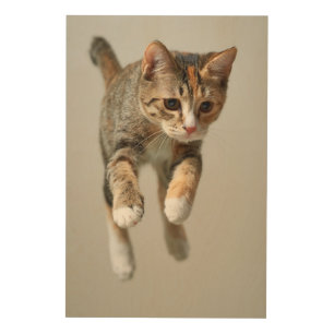 Calico Cat Jumping Wood Wall Decor