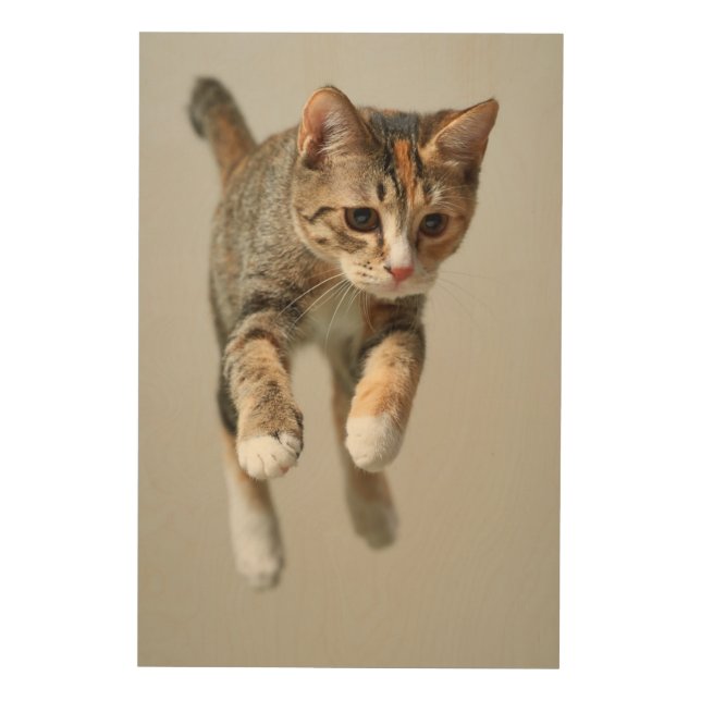 Calico Cat Jumping Wood Wall Decor (Front)