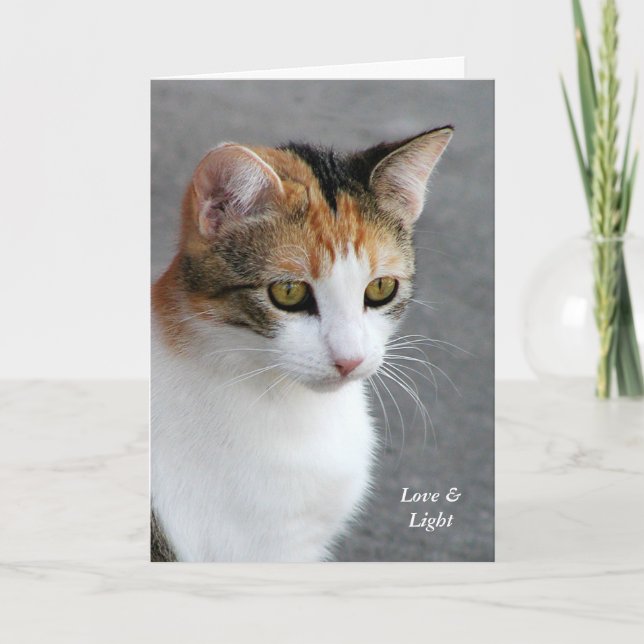 Calico Cat Love & Light Card (Front)