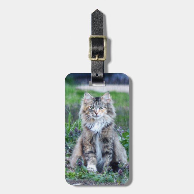 Calico Cat Luggage Tag (Front Vertical)