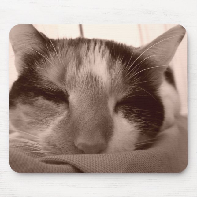 Calico Cat Mousepad (Front)