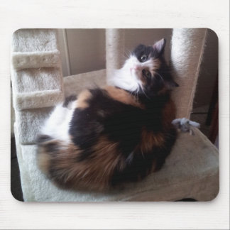 Calico Cat on Cat Tree Mouse Pad