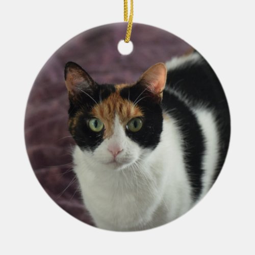 Calico cat ornament
