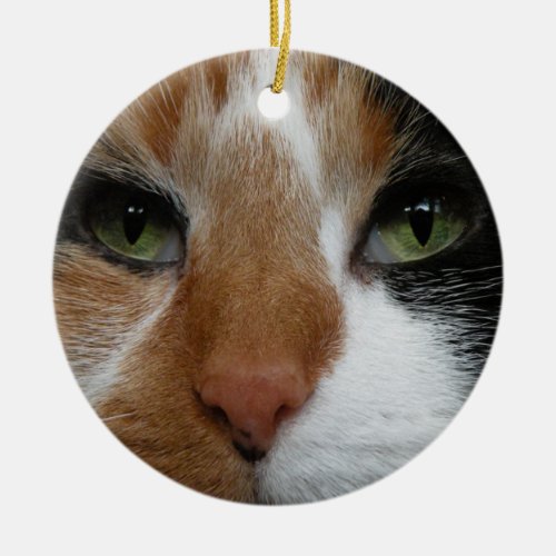 Calico cat ornament