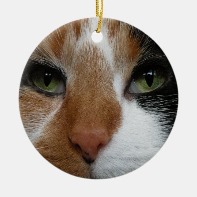 Calico cat ornament (Front)