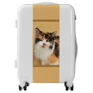 Calico Cat Painting - Cute Original Cat Art Luggage
