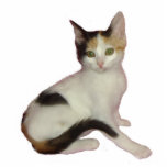 Calico Cat Photo Sculpture<br><div class="desc">This photo sculpture of a calico kitten makes a great gift for cat lovers</div>