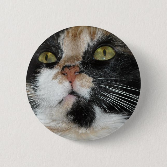 Calico Cat Pinback Button (Front)