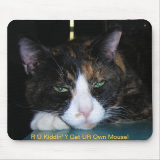 Calico Cat, R U Kiddin' ? Mousepad